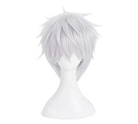 REYHS - Peluca de anime Acelerador de cosplay para Toaru Majutsu sin índice, peluca corta blanca plateada, peluca de disfraz de Halloween, para fiesta de disfraces, espectáculos de anime, eventos de