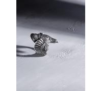 REYTEL Anillo 'THE EAGLE' plata 56 plata