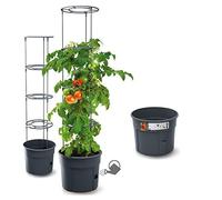 rg-vertrieb Maceta para flores Maceta para tomates Maceta para plantas de tomate 28L Cultivador de tomates Altura total 153cm Torre de cultivo de plantas con soporte para enredaderas Estructura de