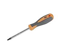 RH 170443 Destornillador Torx, Gris/Naranja, T25 x100 mm