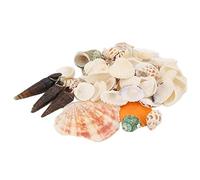 Rhawuy Authentic Mixed Ocean Sea Shells | 130g Beach Decor for Underwater Environments/Vase Fillings/Wedding Centerpieces | Unique Handicraft Materials for DIY Crafts