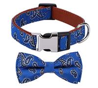 Rhea Rose Collar de perro Bowtie patrón de cachemira azul grande