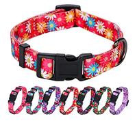 Rhea Rose Collar de perro para niña, bonito collar de margaritas rosas, flor de primavera y verano para perros medianos
