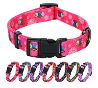 Rhea Rose Collar de perro rosa con estampado de margaritas y abejas para perros pequeños