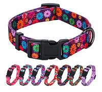 Rhea Rose Collares de perro para niña, patrón de margaritas de otoño, estampado de flores coloridas, collar femenino, morado oscuro, pequeño