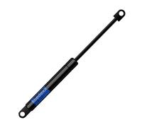 RhedexX® Resorte de gas de repuesto para Stabilus Lift-O-Mat 9281NZ 0300N - ojo articulado con M6 ocular Muelle de gas Liftomat Longitud 167 mm, carrera de 55 mm, Kraft-300N (167/55/300N - 9281NZ)