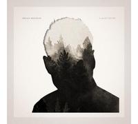 Rhian Sheehan A Quiet Divide (Vinyl) 12" Album (Importación USA)