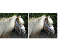 Rhinegold 323-turq Stripe-Pony Cabecera de Caballo pequeño con Ribete de Piel Brillantes, Rayas turquesas (Paquete de 2)