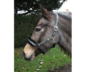 Rhinegold 397-C-GOLD Love My Pony-Juego de Collar y Cuerda, Color Dorado, COB