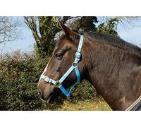 Rhinegold Cabecera de Nailon bebé, Unisex, Azul Celeste, Shetland,Pony,COB,Full,Extra Full