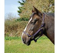 Rhinegold Cabecera de Nailon-COB-Negro/Morado Cuello