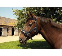Rhinegold Cavesson de Nailon Lunge, 32 ES, Azul Marino, Plein
