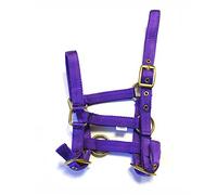 Rhinegold Collar de Cabeza de Potro de Nailon, Color Morado