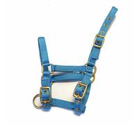 Rhinegold Collar de Nailon con diseño de Potro, Color Turquesa