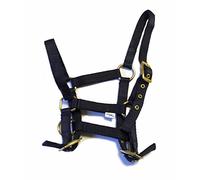 Rhinegold Collar de Nailon de Potro - Azul Marino