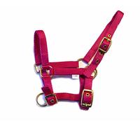 Rhinegold Collar de Nailon para Cabeza de Potro, Frambuesa