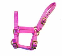 Rhinegold Collar de Nailon para la Cabeza, Color Rosa