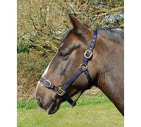 Rhinegold Collar de Nailon para la Cabeza, Pony, Azul Marino