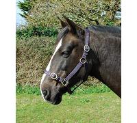 Rhinegold Collar de Nylon - Completo - Ciruela