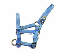 Rhinegold Collar de Nylon Potro - Azul bebé