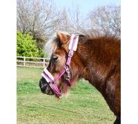 Rhinegold Collar de Pelo a Rayas Brillantes, Mini shet-Rasp, Rayas Frambuesa