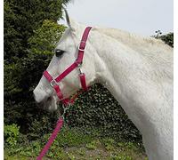 Rhinegold Collar y Cuerda de Carnaval, Unisex, Frambuesa, Pony