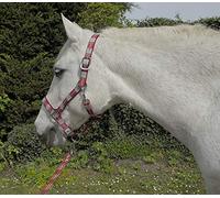 Rhinegold Collar y Cuerda Unisex para Carnaval, Cuadros Rojos, Pony