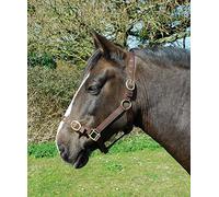 Rhinegold Cuello de Cabeza de Nailon-Pony-Marrón, 32