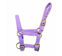 Rhinegold Cuello de Cabeza de Potro de Nylon - Lila