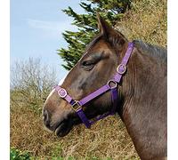 Rhinegold - Cuello de Nailon, 0, Morado, Pony