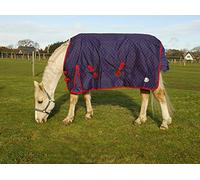 Rhinegold Dottie Torrent Outdoor Rug-Lightweight No Fill Alfombra para Exteriores, Azul Marino/Punto Rojo, 4'6"