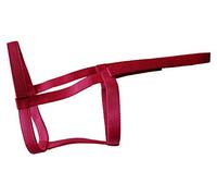 Rhinegold Field Safe - Collar de Cabeza, Color Frambuesa