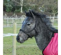 Rhinegold Field Safe Foal Headcollar-Black Cabezal, Negro, Talla única