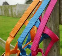 Rhinegold Field Safe Headcollar-COB-Raspberry