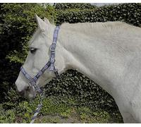 Rhinegold Headcollar & Rope Carnival-Collar y Cuerda, Unisex, Cuadros Azules, Plein