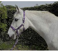 Rhinegold Headcollar & Rope Carnival-Collar y Cuerda, Unisex, Cuadros morados, Plein