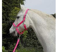 Rhinegold Headcollar & Rope Carnival-Collar y Cuerda, Unisex, Rosa Brillante, Pony