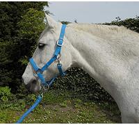 Rhinegold Headcollar & Rope Carnival-Collar y Cuerda, Unisex, Turquesa, COB