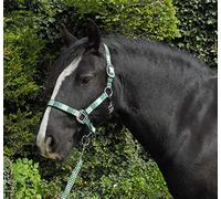 Rhinegold Headcollar & Rope Carnival-Collar y Cuerda, Unisex, Verde, COB