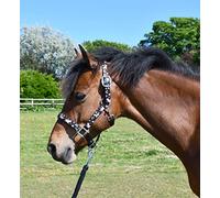 Rhinegold Juego de Collar y Cuerda de Unicornio, Pony, Color Negro