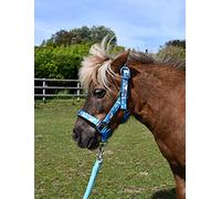 Rhinegold Juego de Collar y Cuerda de Unicornio, Pony, Turquesa