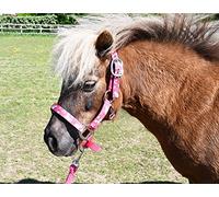 Rhinegold Juego de Collar y Cuerda de Unicornio, Shetland, escofina, Frambuesa