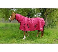 Rhinegold Konig-Alfombra de Cuello Completo para Exteriores, Peso Medio, 200 g/m², Relleno de poliéster, 32 ES, Rojo, 5'3"