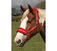 Rhinegold Logo Headcollar Ribete de Forro Polar - Shetland - Rojo