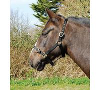 Rhinegold Negro Nylon Headcollar-X Full, Unisex, Extra Grande