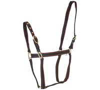 Rhinegold Nylon Headcollar - COB - Negro/Rojo