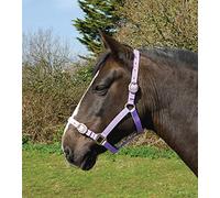 Rhinegold Nylon Headcollar-Full-Lilac Cuello, Lila, Plein