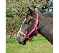 Rhinegold Nylon Headcollar-Pony-Raspberry Cuello, Frambuesa
