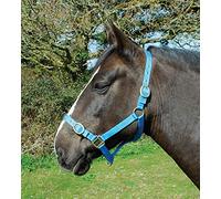 Rhinegold Nylon Headcollar-Pony-Turquoise Cuello de Nailon, Turquesa