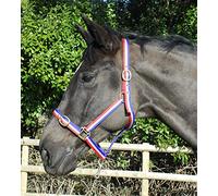 Rhinegold Nylon Headcollar - Shetland - Rojo/Blanco/Azul